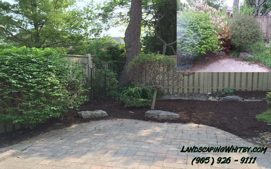 Garden Clean-Up Pruning and Mulch